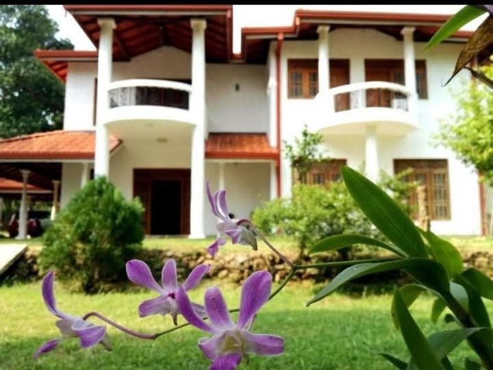 Hotel Blue Point Rest Tangalle Zewnętrze zdjęcie