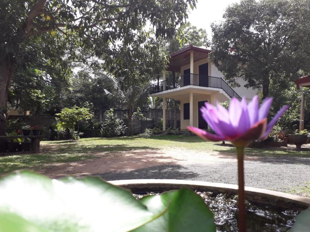Hotel Blue Point Rest Tangalle Zewnętrze zdjęcie